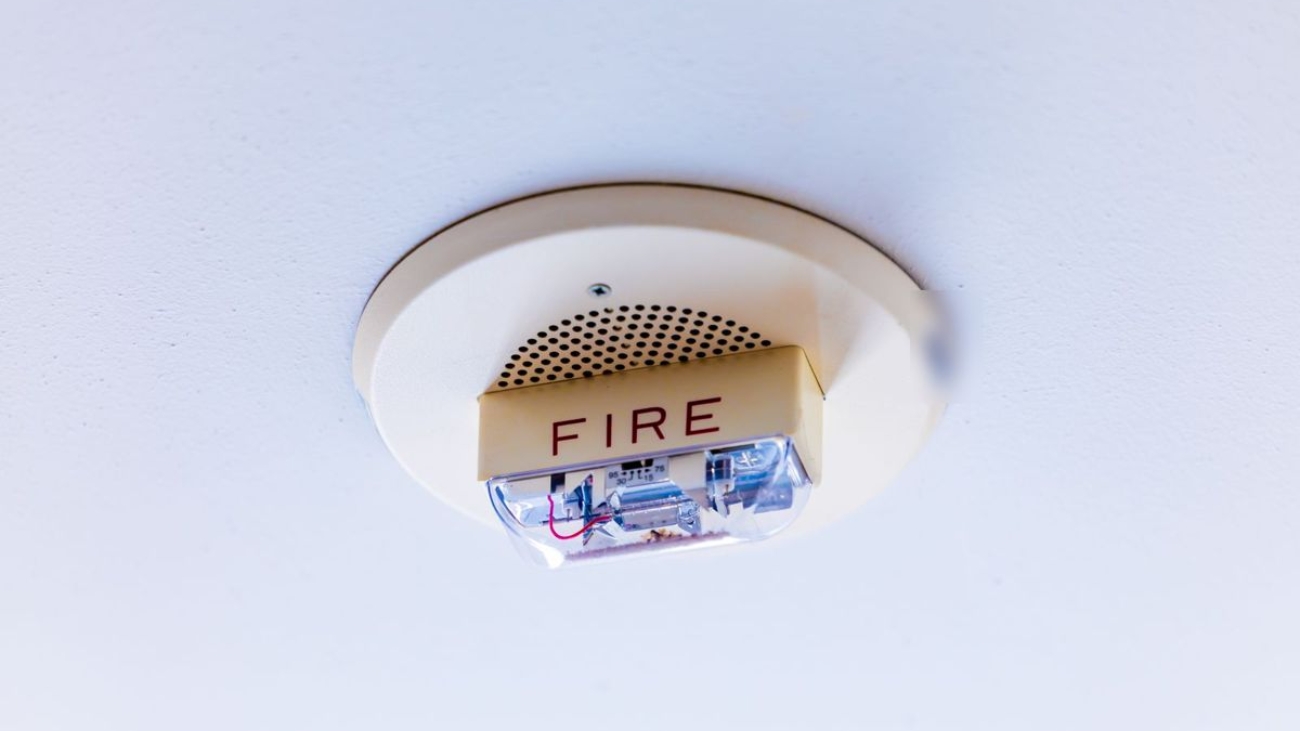 Ceiling-mounted fire alarm sounder on a white ceiling, part of the fire detection system an office fit-out must keep working